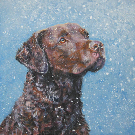 Chesapeake Bay Retriever dog art portrait CANVAS print of LA Shepard painting 8x8