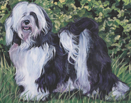 TIBETAN TERRIER dog portrait art canvas PRINT of LAShepard painting 8x10"