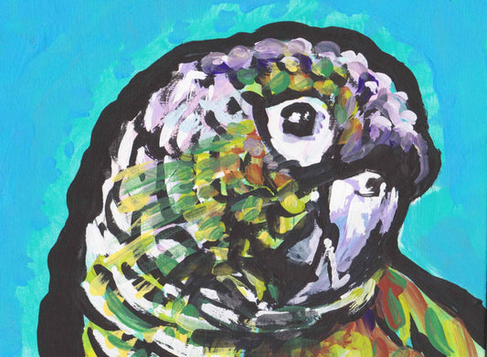 conure PARROT bird portriat print of pop art painting 13x19" fun bright colorful pet wall art