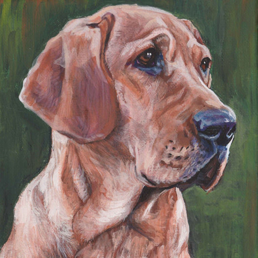 BROHOLMER Danish mastiff dog art portrait canvas PRINT of LAShepard painting 8x8"