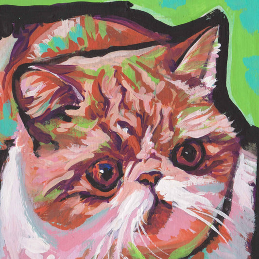 fun Cat portrait art print of bright colorful pop art 8x8" EXOTIC SHORTHAIR