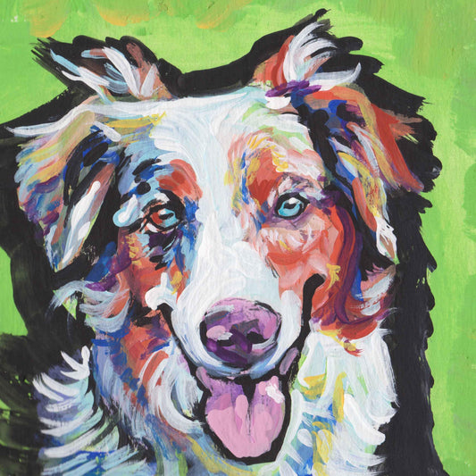 Australian Shepherd dog art print blue merle aussie pop art bright colors 12x12"