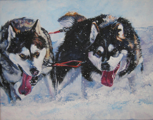 "The Malamute Mad Dash" Alaskan Malamute Giclee Print of original Painting by LA SHEPARD