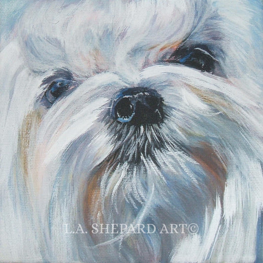 MALTESE dog PORTRAIT canvas PRINT of LAShepard painting 8x8 dog art