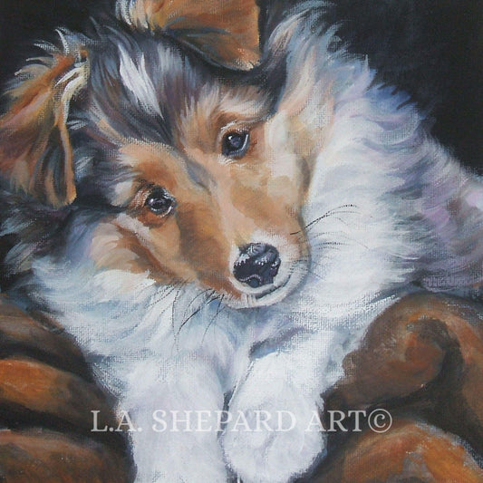 SHETLAND SHEEPDOG sheltie portrait dog art canvas PRINT of LAShepard painting 8x8"