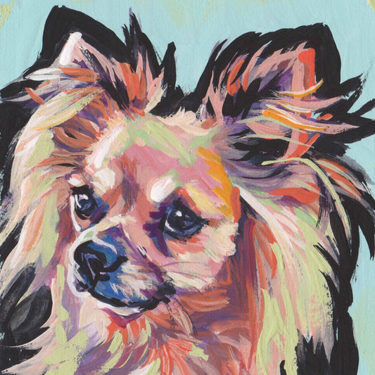 long haired Chihuahua portrait Dog art print of pop dog art painting 12x12"