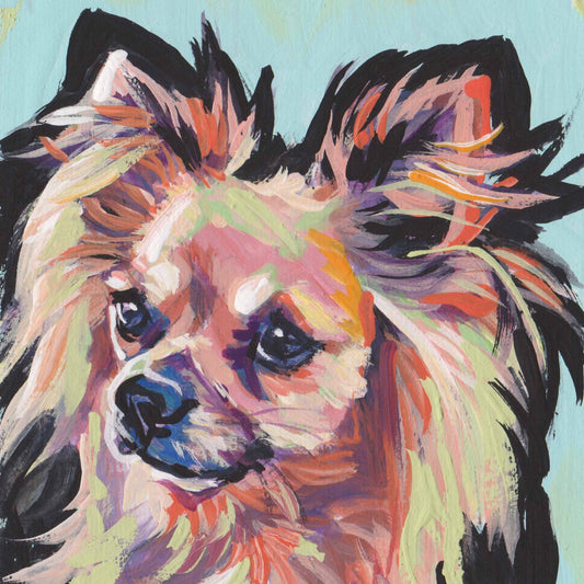long haired Chihuahua portrait modern Dog art print of pop dog art painting bright colors 8x8"