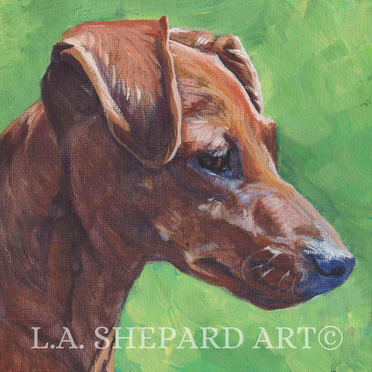red MINIATURE PINSCHER canvas art PRINT of LAShepard dog portrait painting 8x8"