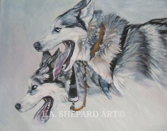 Siberian HUSKY sled dog ART portrait PRINT of LAShepard dog painting 8x10"