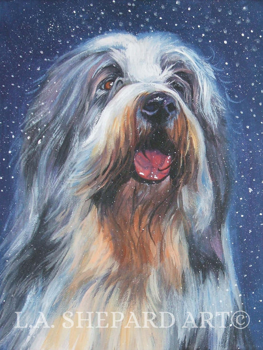BEARDED COLLIE dog art portrait PRINT of LAShepard painting 12x16" xmas beardie