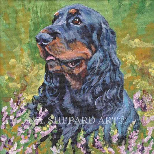 FIELD SPANIEL dog art portrait canvas PRINT of LAShepard painting 12x12"