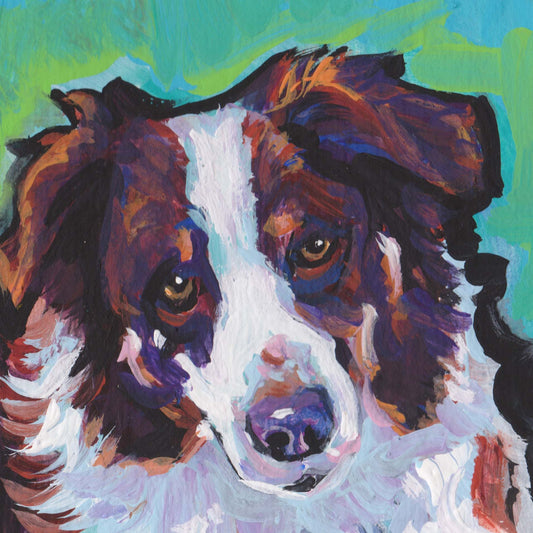 Australian Shepherd Dog art portrait print of modern painting aussie pop art bright colors 12x12"