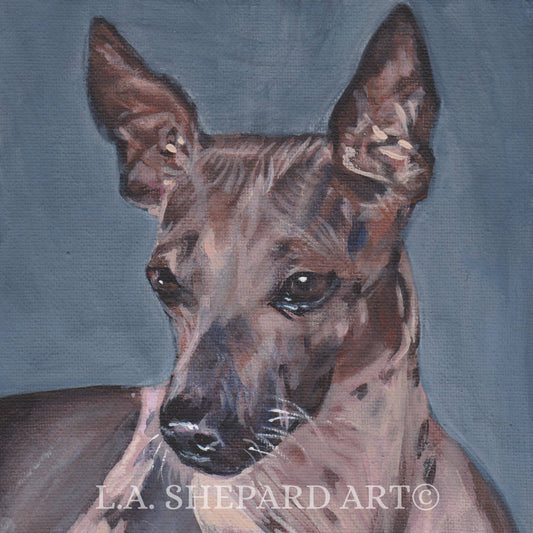 AMERICAN HAIRLESS Terrier dog portrait art print of LAShepard painting 8x8" AHT