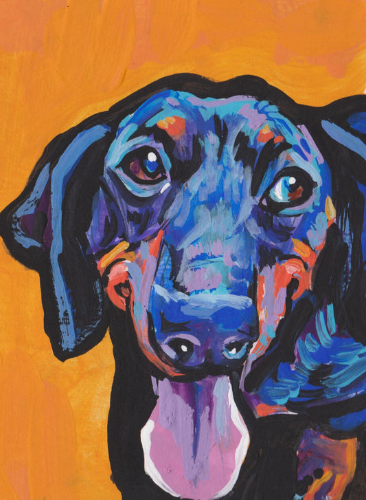 Dachshund Dog portrait art print of pop art painting bright colors 13x19" doxie fun wall art