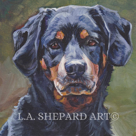 SMALAND HOUND dog portrait art canvas print of LAShepard painting 8x8" Smålandsstövare