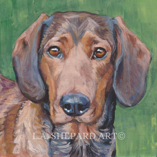 ALPINE DACHSBRACKE dog portrait art canvas PRINT of LAShepard painting Alpenländische 8x8"