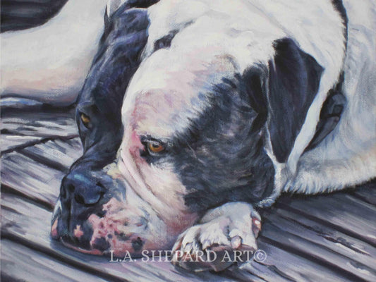 AMERICAN BULLDOG dog art portrait canvas PRINT of LAShepard painting 8x10"