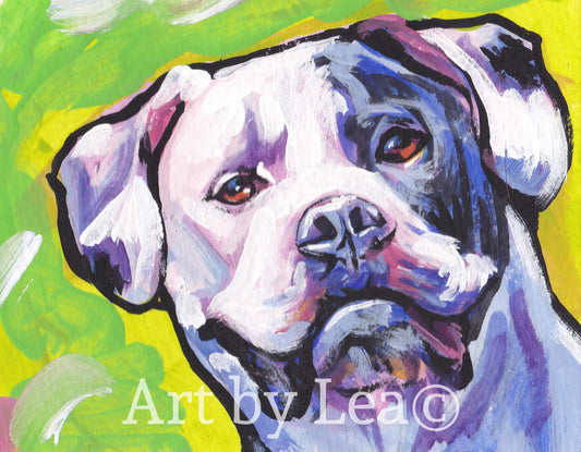 AMERICAN BULLDOG dog art PRINT of pop art painting  8.5x11"