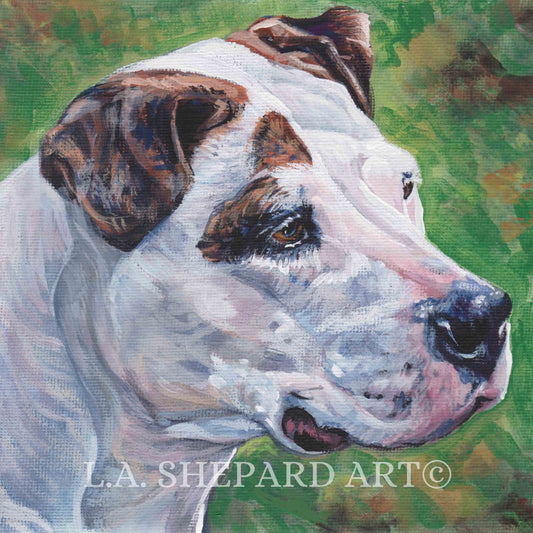AMERICAN BULLDOG dog art portrait canvas PRINT of LAShepard painting 8x8"
