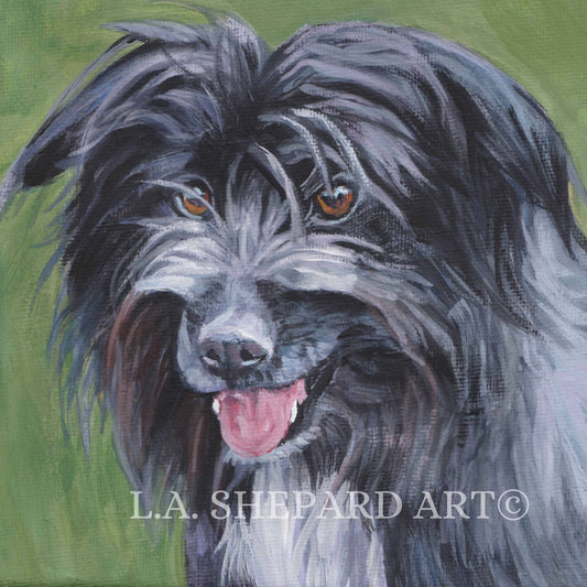 Pyrenean Shepherd dog PORTRAIT art canvas PRINT of LAShepard painting 8x8" pyr shep