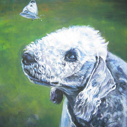 Bedlington Terrier portrait CANVAS print by L.A.Shepard 8x8 dog art