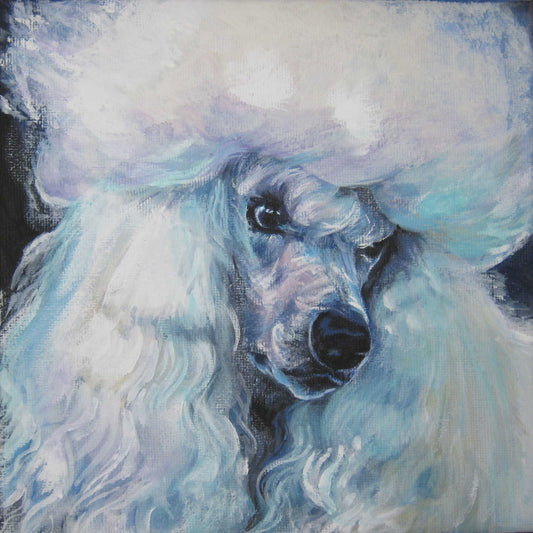 Standard Poodle art CANVAS print of La Shepard dog painting 8x8 dog portrait