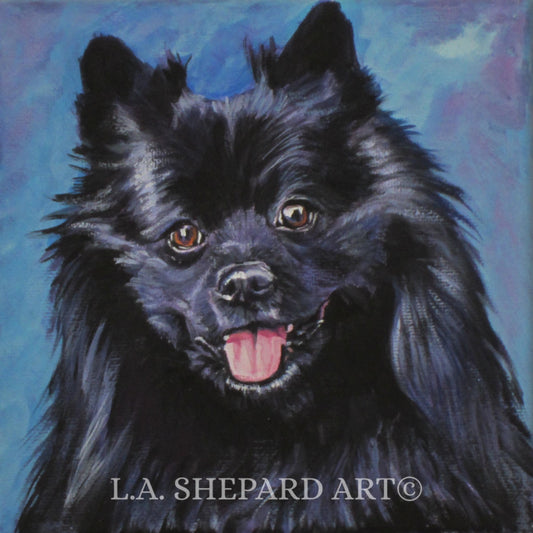 black German Spitz dog art portrait print of LAShepard painting 8x8'