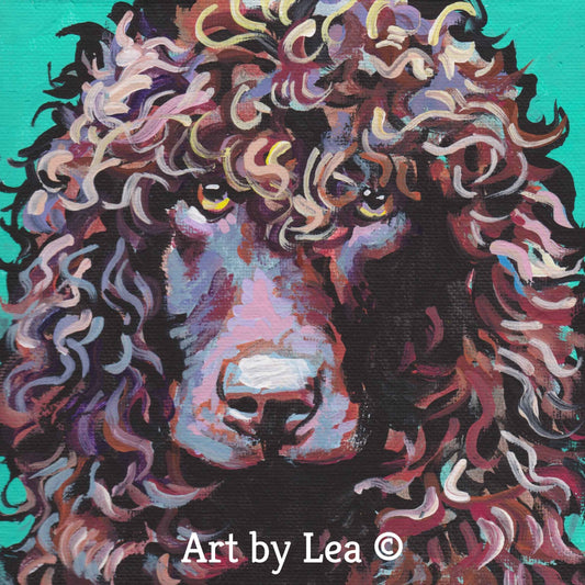IRISH WATER SPANIEL dog portrait art print of pop art painting bright colors 12x12"