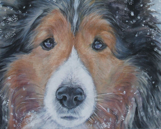 Shetland Sheepdog sheltie dog art portrait CANVAS print of LA Shepard painting 8x10