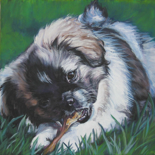 Tibetan Spaniel art CANVAS print of LA Shepard painting 8x8 puppy dog