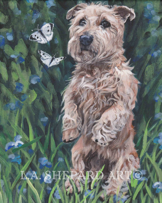 Glen of Imaal Terrier portrait dog art print of LAShepard painting 8x10" glen sit