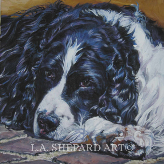 ENGLISH SPRINGER Spaniel dog art portrait canvas PRINT of LAShepard painting 12x12