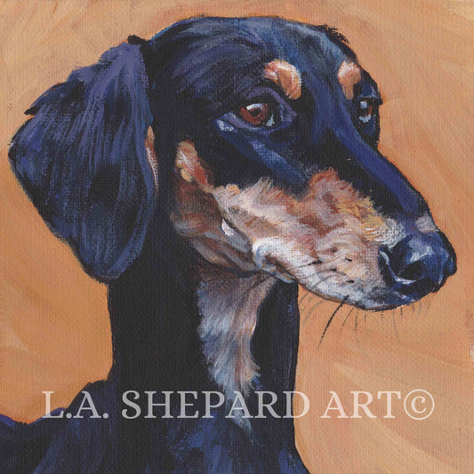 smooth SALUKI dog art portrait canvas PRINT of LAShepard painting 8x8" sighthound