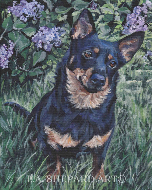 Lancashire Heeler dog art canvas print of LA Shepard painting 8x10"