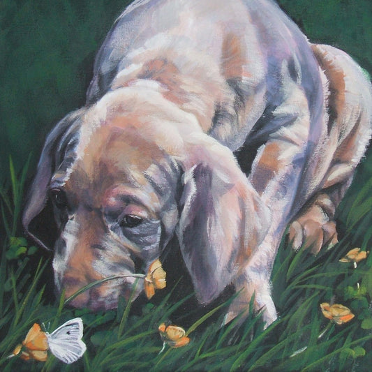 Weimaraner art print CANVAS print of LA Shepard painting 12x12 dog art