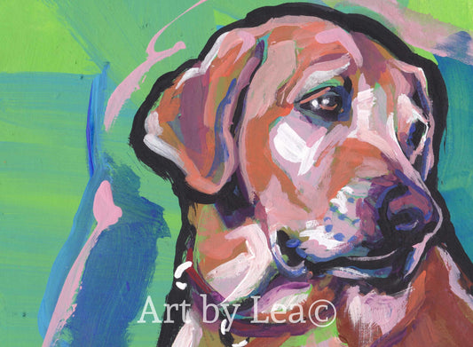 Labrador Retriever dog portrait art print of pop art yellow lab painting 13x19"