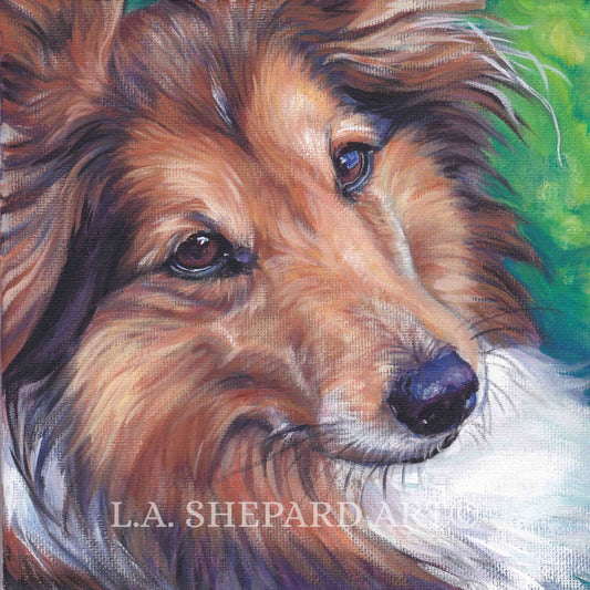 Shetland Sheepdog sheltie dog portrait CANVAS print of LA Shepard painting 12x12 art