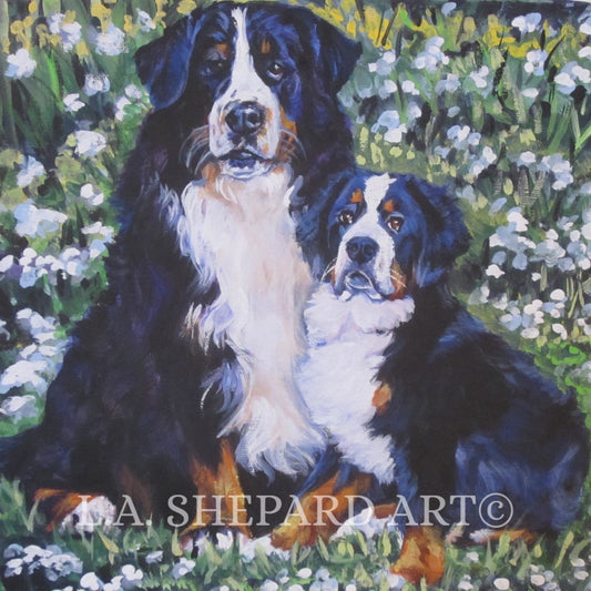 BERNESE Mountain Dog art portrait canvas PRINT of LA Shepard painting 12x12