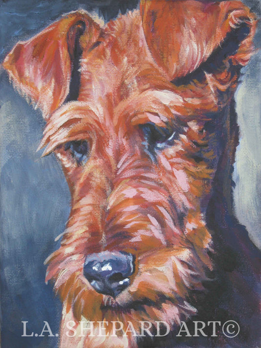 IRISH TERRIER dog art portrait canvas PRINT of LAShepard dog painting 8x10