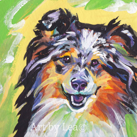 Blue Merle Shetland Sheepdog Sheltie art print of pop art dog painting bright colors 8x8"