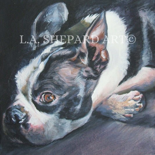 Boston Terrier DOG art PORTRAIT PRINT of LAShepard painting 8x8"