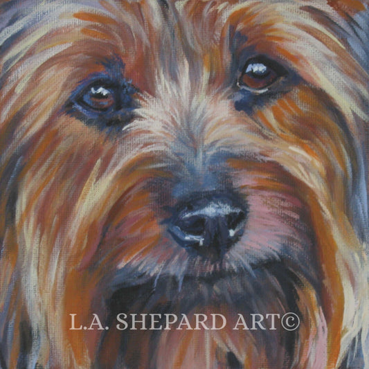 SILKY Terrier DOG art portrait canvas PRINT of LAShepard painting 12x12