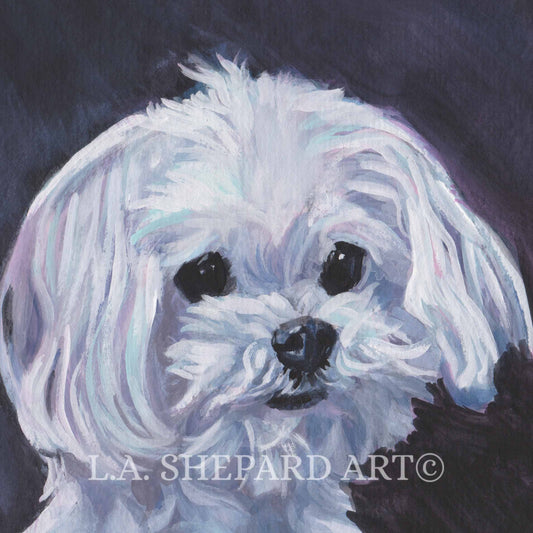 MALTESE dog portrait art Canvas PRINT of LAShepard painting 8x8"
