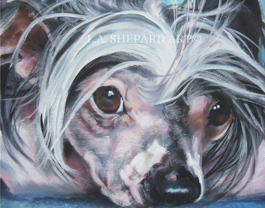 CHINESE CRESTED dog art portrait canvas PRINT of LAShepard painting 8x10