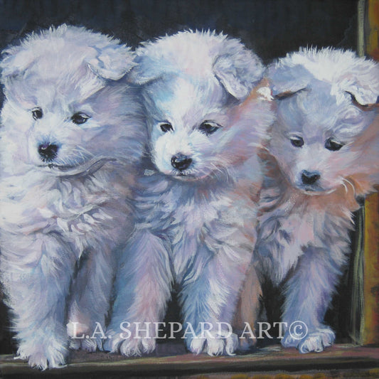 SAMOYED pups dog art canvas PRINT of LA Shepard painting 8x8