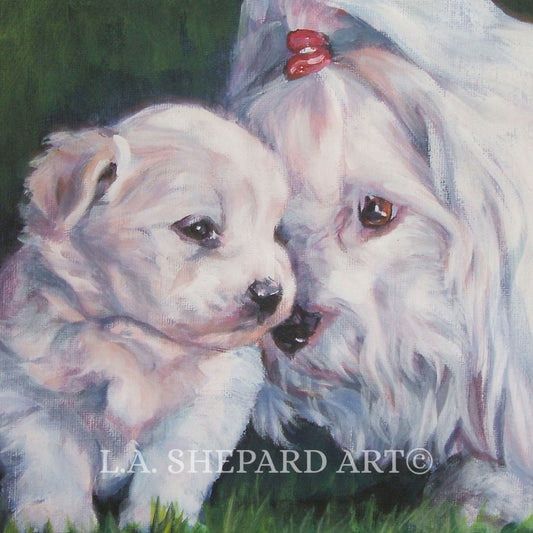 COTON de Tulear dog ART portrait canvas PRINT of LAShepard painting 8x8