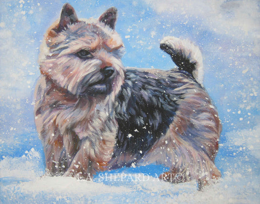 NORWICH Terrier dog art PRINT of LA Shepard painting 11x14