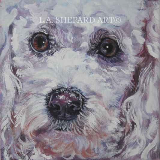 POODLE dog art portrait canvas PRINT of LA Shepard painting 12x12"