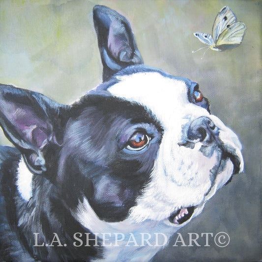 BOSTON TERRIER dog art portrait PRINT of LAShepard painting 8x8