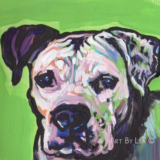 BOXER Dog portrait bright colorful art print of pop art painting 12x12"
